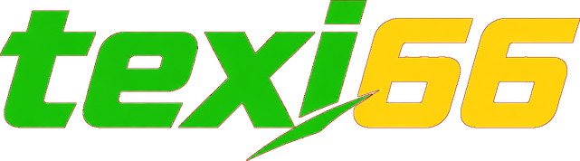 texi66 Logo